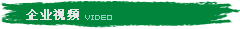 企業視頻