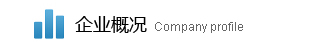 企業(yè)概況